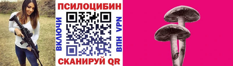 Псилоцибиновые грибы Psilocybine cubensis  Купить закладки  Закаменск 